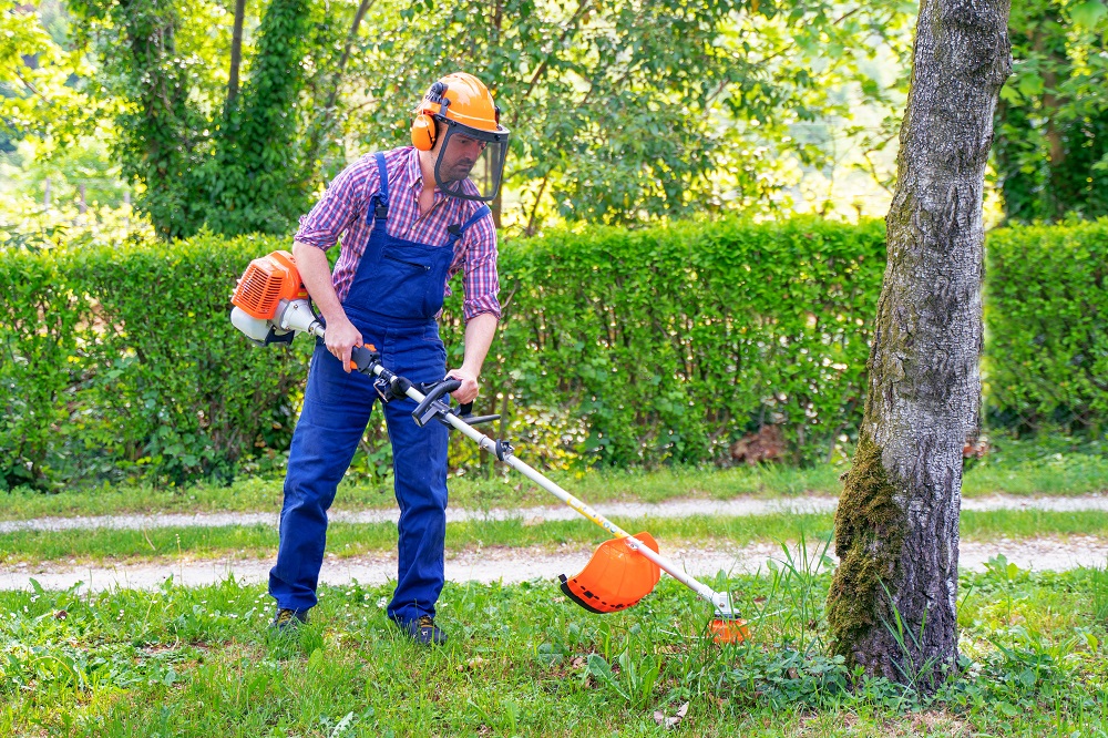 Servizio di giardinaggio a Messina